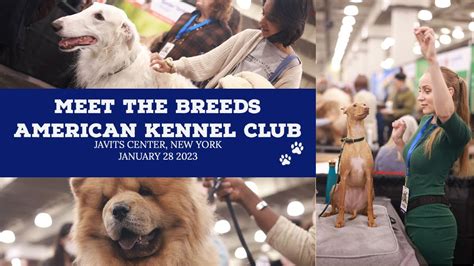 akc|American Kennel Club : définitions et fonctions